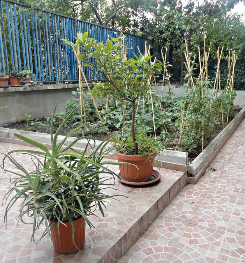 Lunablu Rome Exterior photo
